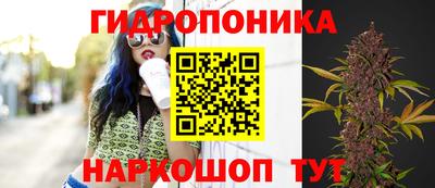 кокаин Камышлов