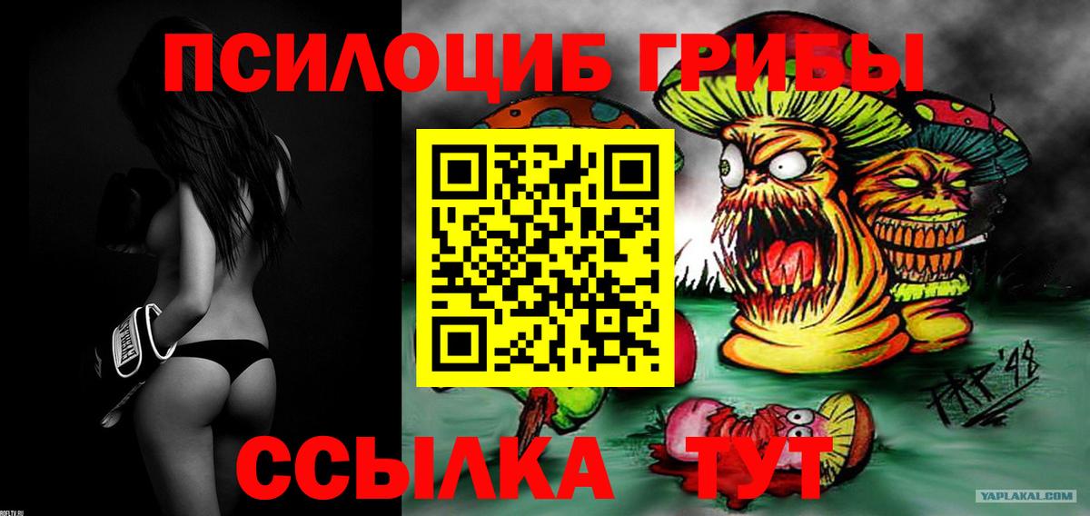 Псилоцибиновые грибы мухоморы Копейск