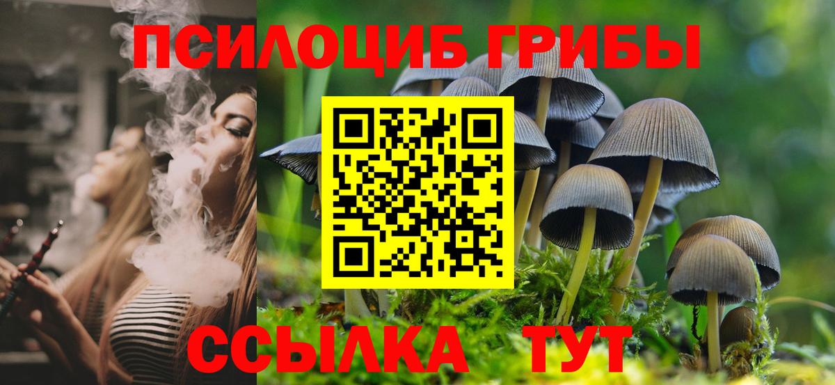 Копейск  Галлюциногенные грибы Magic Shrooms  Вход с VPN 